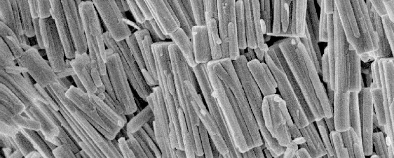 Der Titandioxid-Ersatz CASUL<sup>®</sup> unter dem Mikroskop